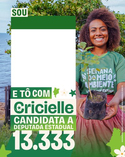 Card — Meio Ambiente